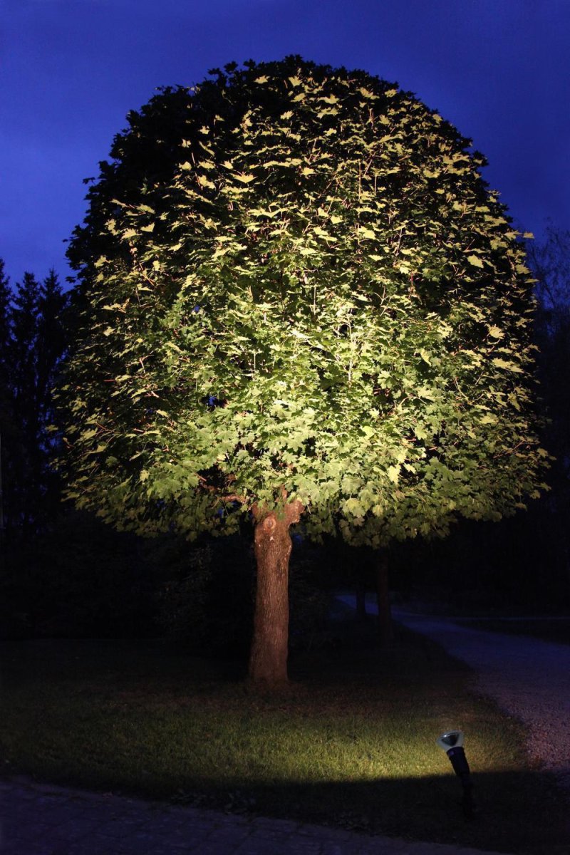 Utomhusdekoration Outdoor Duospotlight Fixture - Bild 6